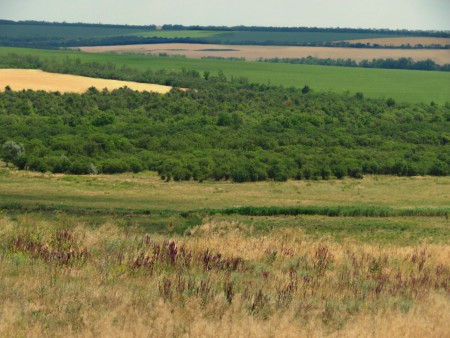 Наша природа-осень